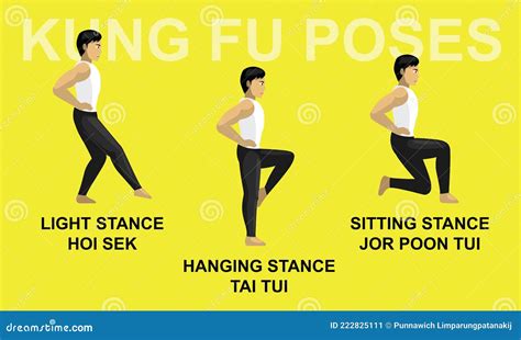 kung fu poses hanging stance tai tui light hoi sek sitting jor poon tui cartoon vector