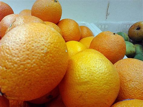 Orange Lemon And Other Citrus About Cats Kitchen