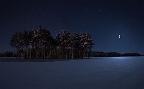 Starry Winter Night
