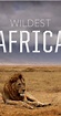 Wildest Africa - Season 2 - IMDb
