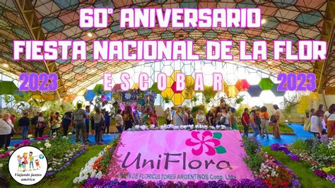 Kfiesta Nacional De La Flor Aniversario Walking Recorrido Youtube