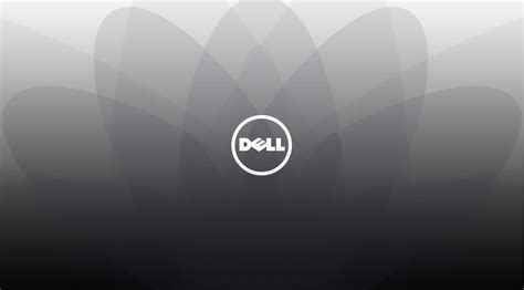 Entdecken 85 Desktop Hintergrund Dell Vn