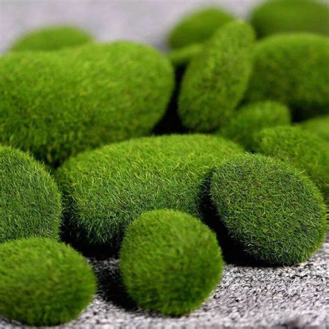 Batu Lumut Imitasi Artificial Moss Lazada Indonesia
