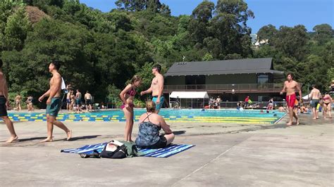 Swimmers React To Fecal Contamination Announcement At Berkeley Pool Youtube