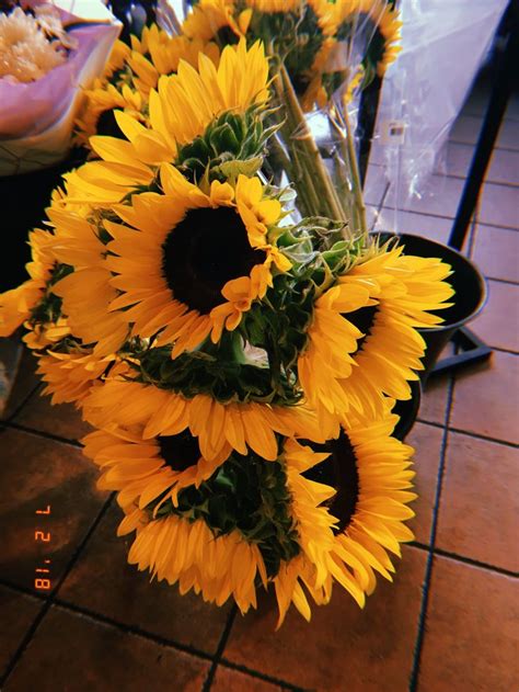 Pinterest кαℓєyнσggℓє Flower Aesthetic Sunflower Pictures