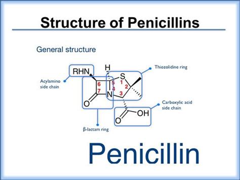 Structure Of Penicillins Pharmacology Penicillin Pharmacy