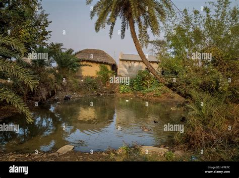 A Village Pond With Ducks Surrounded With Mud Houses Rural Beauty Of