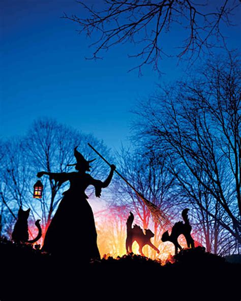 Witch And Cat Lawn Ornaments Martha Stewart
