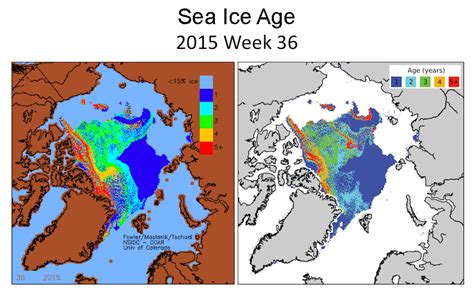 Nsidc Artic Sea Ice News Cu Sea Level Research Group