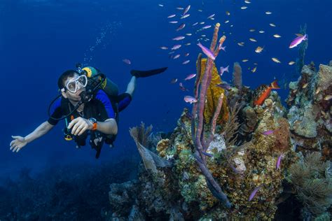Scuba Diving At Goas Famous Island