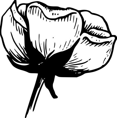 free black and white flower clipart download free black and white flower clipart png images