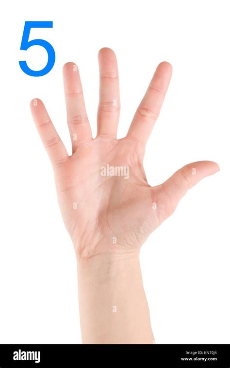 Hand Showing Number Five Isolated On A White Background Stock Photo Alamy