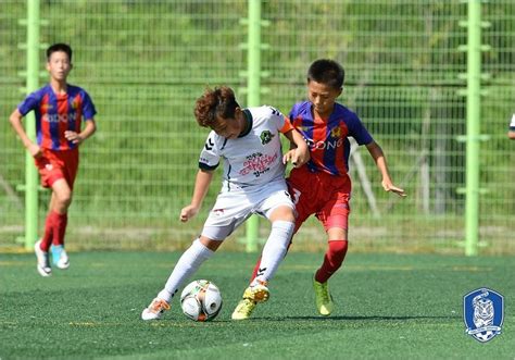 축구 공 스포츠 라운드 흑인과 백인. 초등 축구, 2019년부터 8인제로 개최 - 노컷뉴스