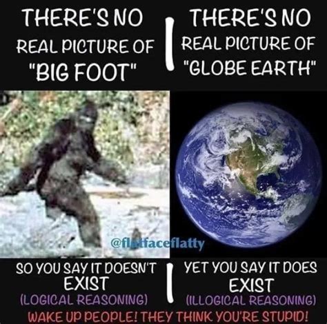 Memes Used By Flat Earthers To Explain The Logic Behind Why Earth Is Flat