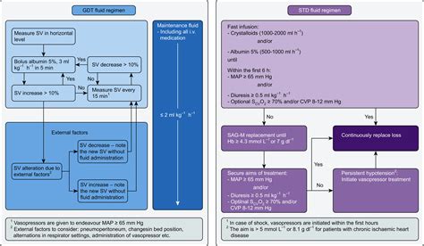Goal-directed fluid therapy in emergency abdominal surgery: a