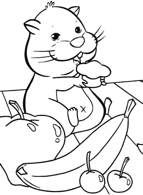 Desenhos De Hamster Para Colorir Desenhos Para Colorir