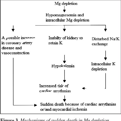 Pathophysiology Of Hypomagnesemia