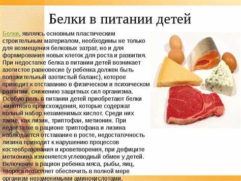 Лабораторную Крысу Содержали На Строгой Белковой Диете — Похудение Картинка - Лабораторную Крысу Содержали На Строгой Белковой Диете — Похудение