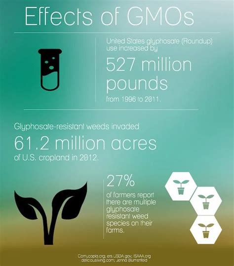 Effects Of Gmos Health And Nutrition Health Fitness Health Foods