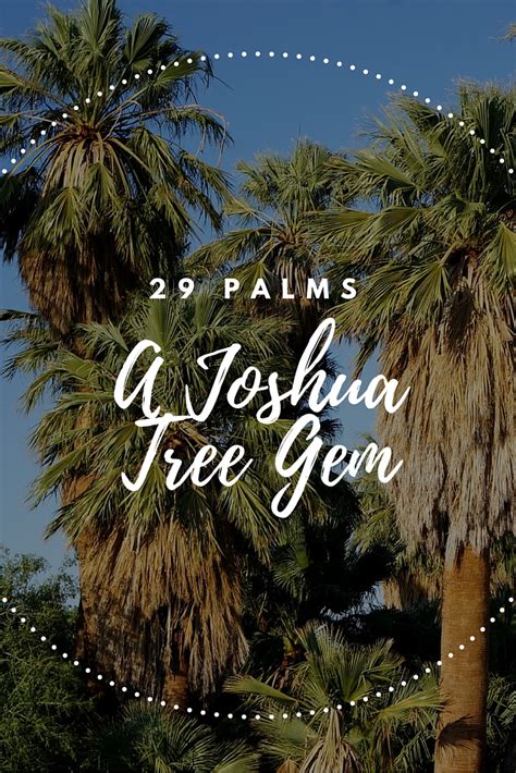 29 Palms A Joshua Tree Hidden Gem No Back Home