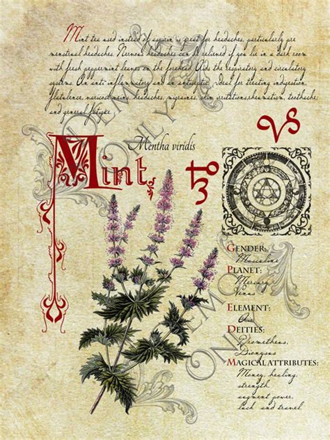 Covering a variety of categories including harmony, prosperity, protection, love, healing, success, fertility and many more. Grimoire Spell Herbal correspondence and Book of Shadows ...