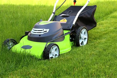 The 25 Best Electric Lawn Mowers Of 2020 Home Life Digest
