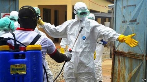 ebola outbreak guinea health team killed bbc news