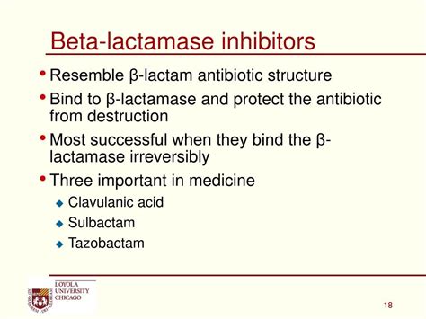 Ppt Detection And Reporting Of Beta Lactam Resistance In