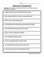 What Kind of Sentence? Worksheet | Types of sentences worksheet, Types ...