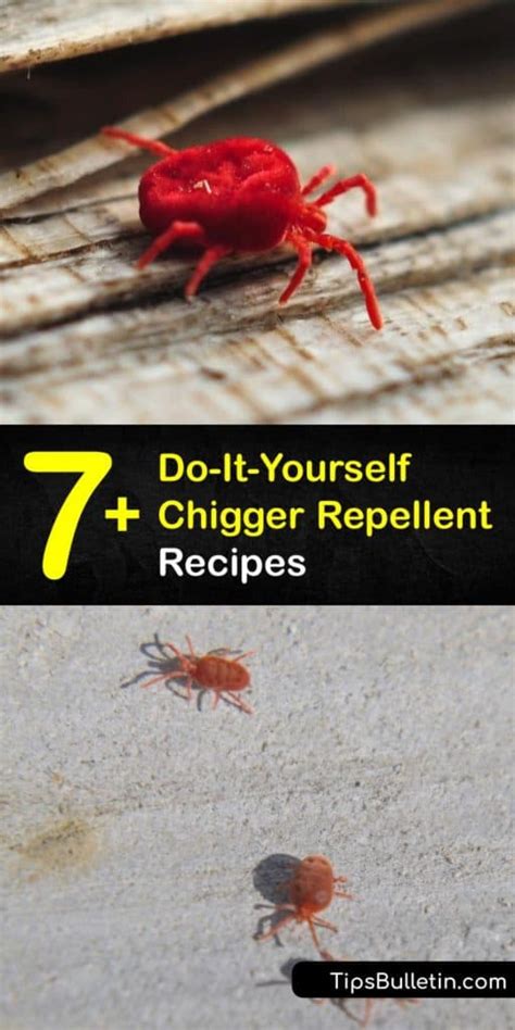 7 Do It Yourself Chigger Repellent Recipes