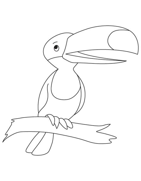 All free coloring pages toucan page with click view printable version color online compatible ipad android tablets toco download bird. Toucan Coloring Page at GetDrawings | Free download