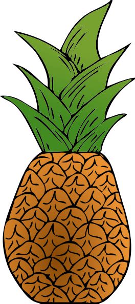 Pineapple Clip Art At Vector Clip Art Online