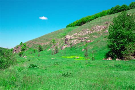 Landscape Of A Green Grassy Hills Valley Trees And Blue Sky Wi Stock