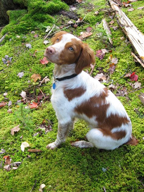 I have one of these waiting on me back in GA. Can't wait for little