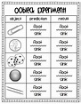Grade 1 Science Experiment Worksheet