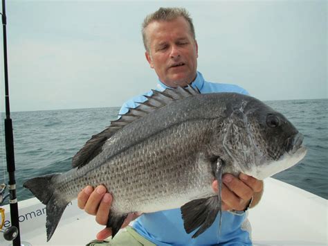 Ebb Tide Tackle The Blog Southern Oman An Inshore Top Water