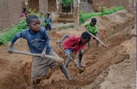 Child Labour Rising In Ghana And Ivory Coasts Cocoa Farms Study Finds