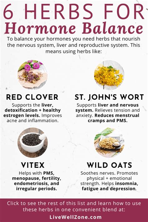 6 Herbs That Balance Hormones That You Re Probably Not Using Foods To Balance Hormones
