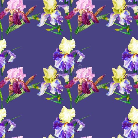 Seamless Pattern With Colored Irises Stock Illustration Illustration