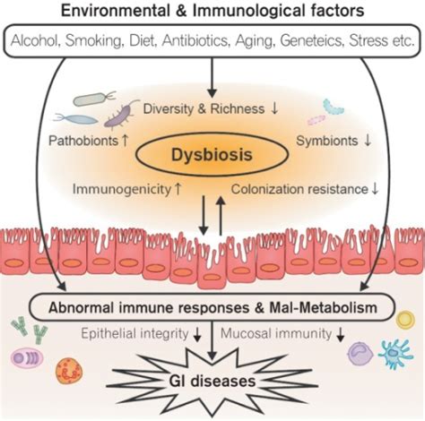 The Pathogenic Role Of The Gut Microbiota In Gastrointe Open I