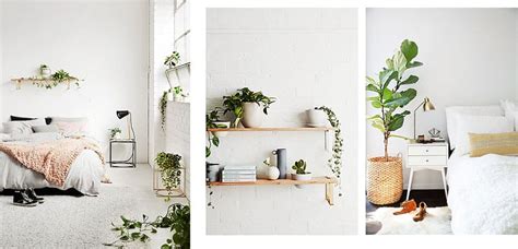Las mejores plantas y jardines de interior. Cómo decorar con plantas el dormitorio | Decoora
