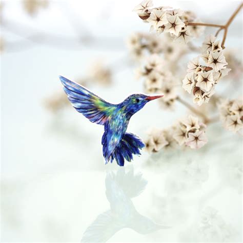 Die kolibris (trochilidae) sind vögel und stellen nach ansicht fast aller autoren die einzige familie der ordnung der kolibriartigen (trochiliformes) dar. Kolibribrosche, Kolibri, Vogelschmuck, Ansteckbrosche ...