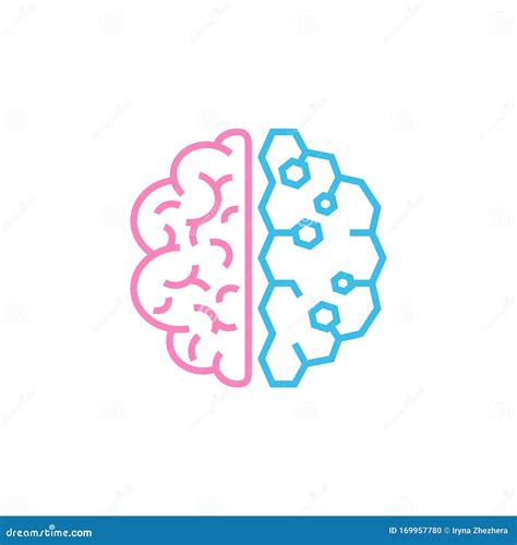 Brain The Two Halves Of The Whole Brain Of Pink And Blue Man And
