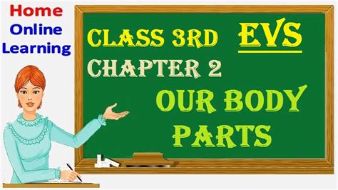 Our Body Parts Evs Class 3 Chapter 2 External Organs