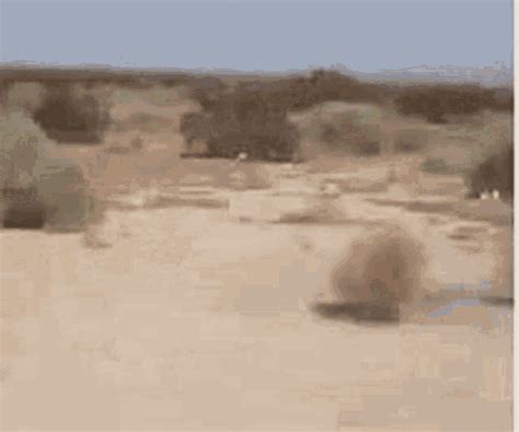 Desert Tumble Weed Gif Desert Tumble Weed Roll Discover Share Gifs