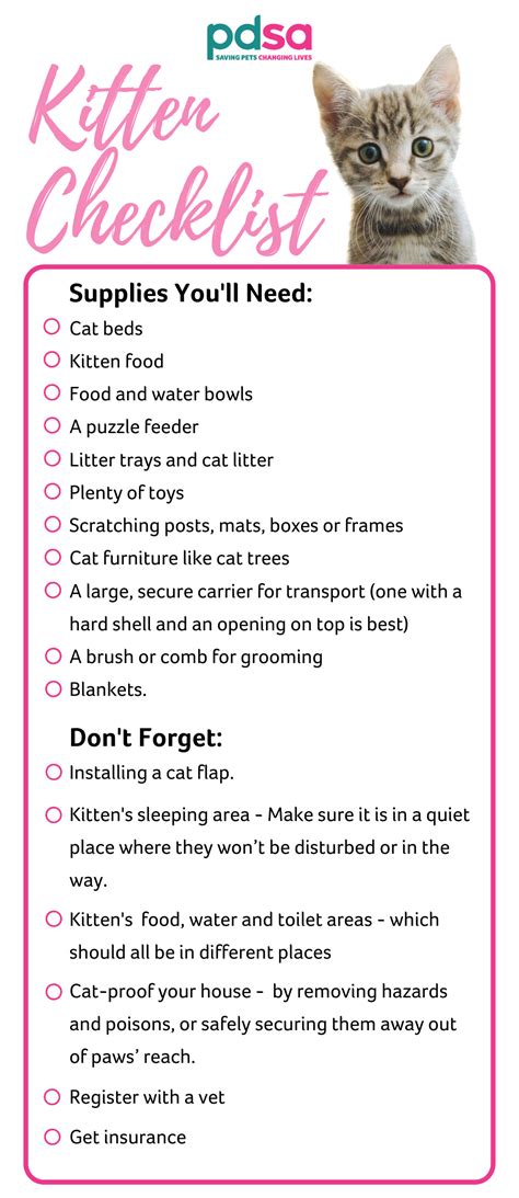 Pdsa New Kitten Checklist Kitten Checklist Getting A Kitten Kitten