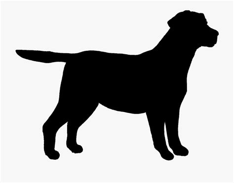 Labrador Retriever Outline Black Outline Of Dog Transparent Cartoon