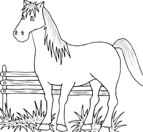Realistic Farm Animal Coloring Pages At Free