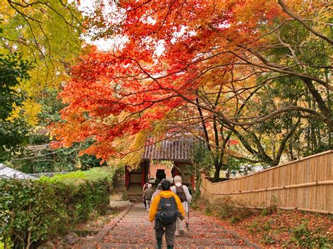 Japan Autumn Itinerary Best Places To Visit In Fall • 57 Off