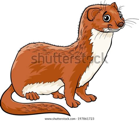 Cartoon Vector Illustration Cute Weasel Animal Stock Vector Royalty